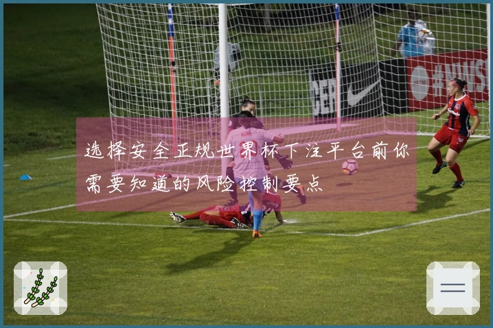 选择安全正规世界杯下注平台前你需要知道的风险控制要点