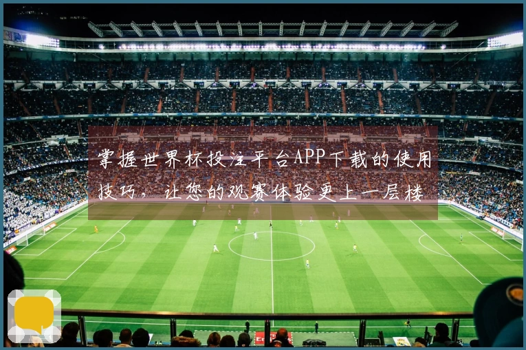 掌握世界杯投注平台APP下载的使用技巧，让您的观赛体验更上一层楼