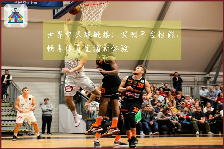 世界杯买球链接：实测平台性能，畅享体育直播新体验