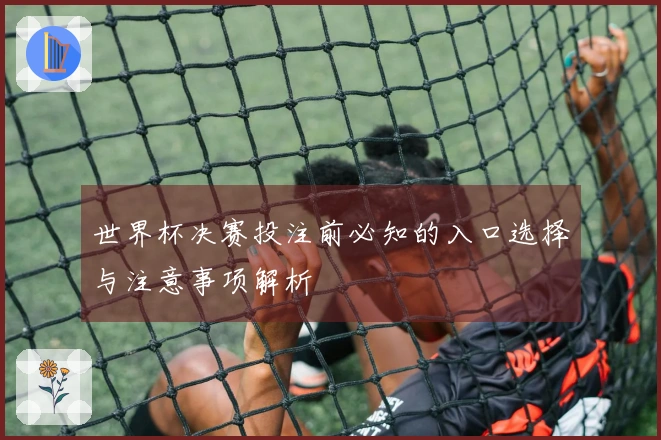 世界杯决赛投注前必知的入口选择与注意事项解析