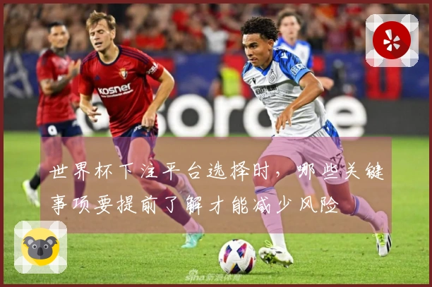 世界杯下注平台选择时，哪些关键事项要提前了解才能减少风险