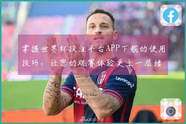 掌握世界杯投注平台APP下载的使用技巧，让您的观赛体验更上一层楼