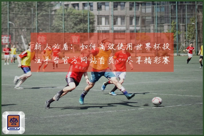 新人必看：如何高效使用世界杯投注平台官方网站首页，尽享精彩赛事体验